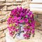 Artificial Hibiscus Fake Hanging Flowers Plants for Outdoors Spring Summer Decor, 2pcs Fuchsia Silk Hibiscus Long Trailing Vines